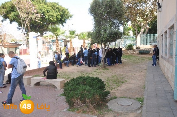 trees shamela 0321 (62).JPG